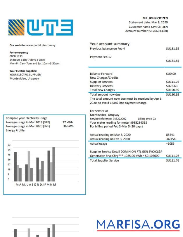 Downloadable Uruguay UTE Company electricity utility bill template in Word and PDF format
